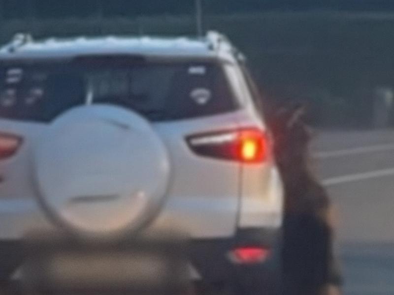 Chien traîné par une voiture : l'affaire est classée sans suite