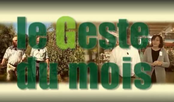 Le Geste du mois