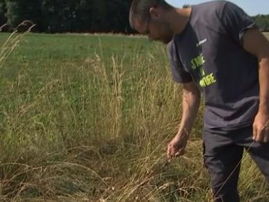 Anthisnes : restaurer le bocage pour la biodiversité 
