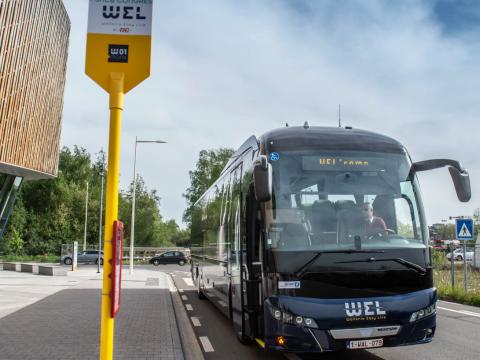 Bus : un ligne rapide W04 Liège - Marche dès le 29 avril