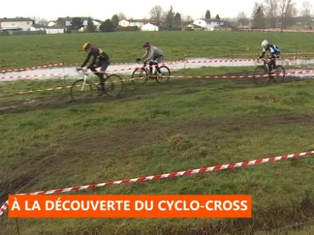 Cyclo-cross à Oleye