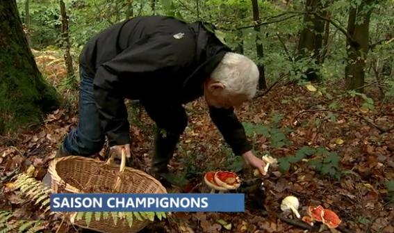 Exposition annuelle de champignons de la société botanique de Liège
