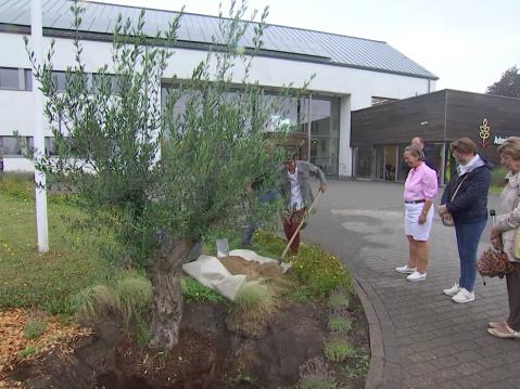 Fête nationale : un olivier planté à Villers-le-Bouillet comme symbole de liberté
