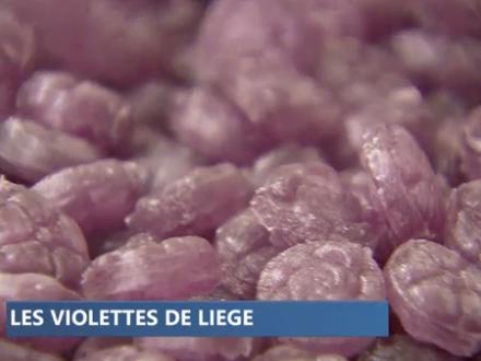Gicopa fabrique des violettes depuis 1895...
