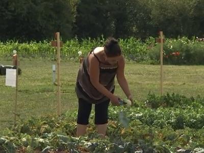 Héron : le potager du CPAS accessible 7 jours sur sept 