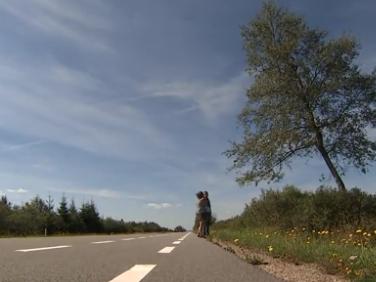 Il a photographié 400 fois le même arbre... Le résultat a fait le buzz ! 