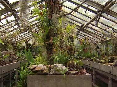 Jardin botanique : bourse aux plantes et aux graines 