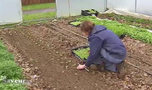 Les Saveurs de chez nous : Le potager Saint Germain 