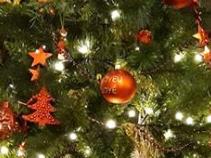 Liège : collecte des sapins dès le 7 janvier 