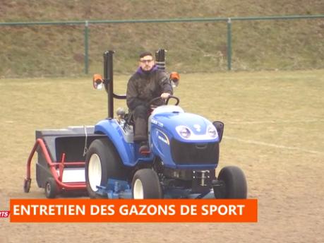 Province Sports : l'entretien des gazons