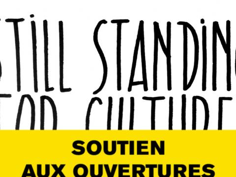 Still Standing for Culture : les actions à Liège, Huy et Sprimont