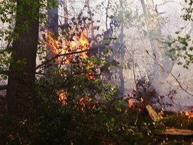 Wanze : plusieurs hectares de bois détruits par le feu