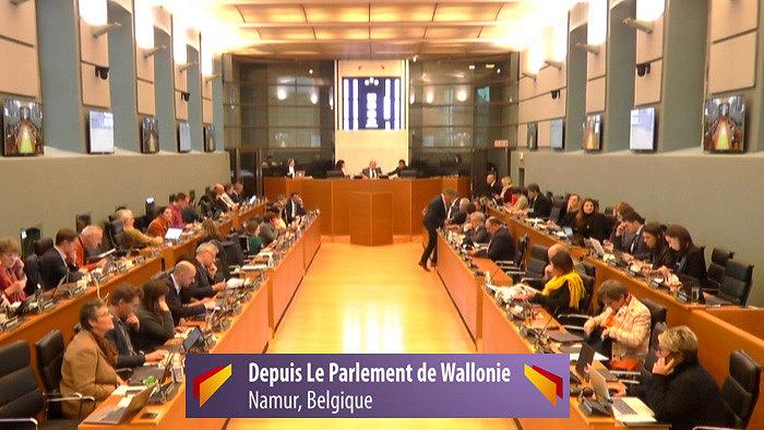 Questions parlementaires au sein du parlement de Wallonie — Questions parlementaires de la Région wallonne