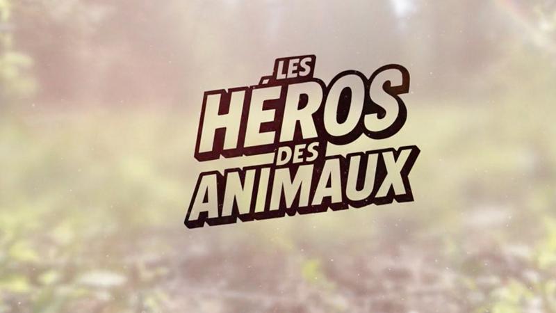 Les héros des animaux