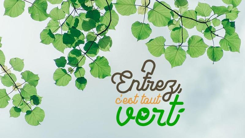 Entrez, c'est tout vert