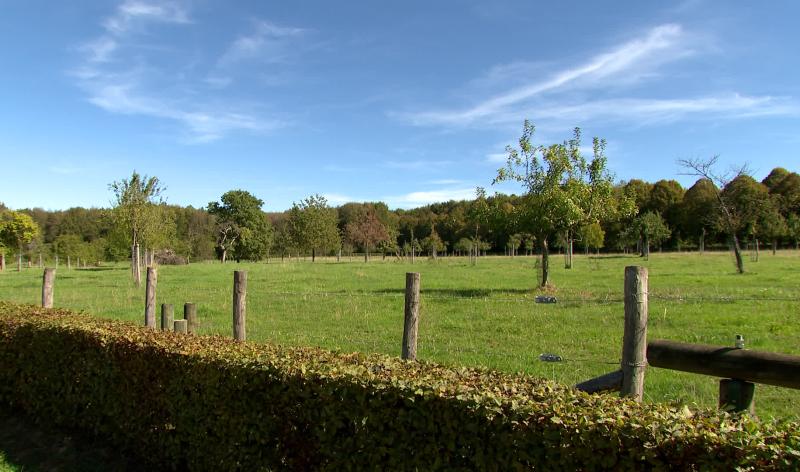 Modave : des terrains publics mis à disposition de jeunes agriculteurs