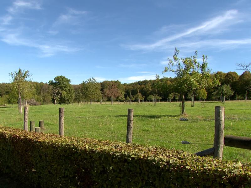 Modave : des terrains publics mis à disposition de jeunes agriculteurs
