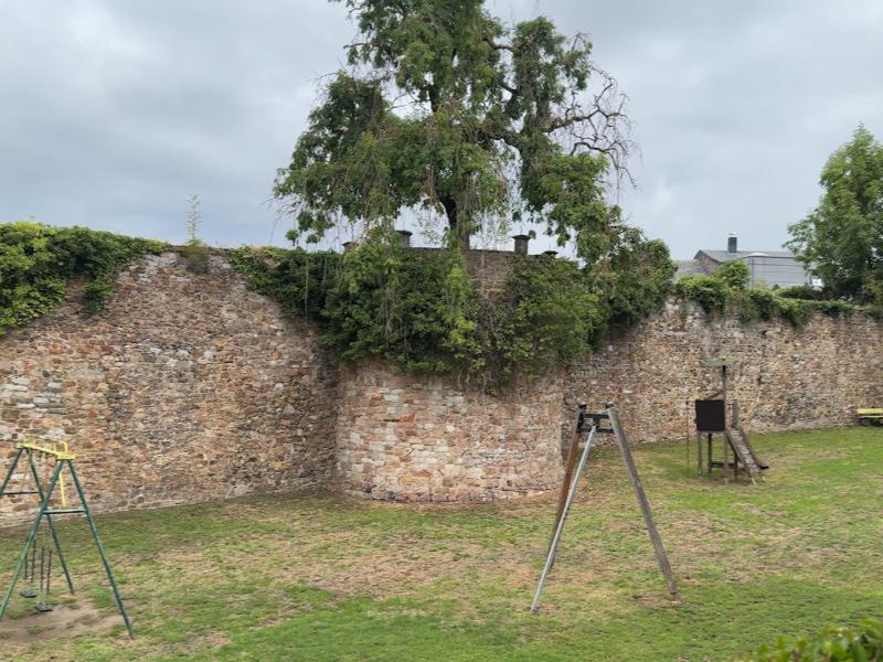 Cure de jouvence pour les remparts de Huy
