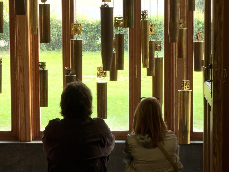 "L'or des fous" : l'exposition de Tatiana Bohm à l'Espace 251 Nord