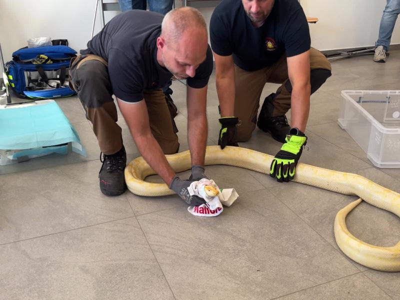 Des pompiers formés aux interventions NAC à Amay: "On commence à en rencontrer de plus en plus"