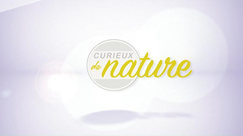 Curieux de nature
