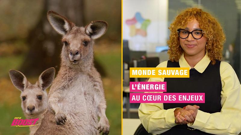 Coup de boost — Monde Sauvage d’Aywaille et pouvoir d’achat : deux défis, une même énergie !