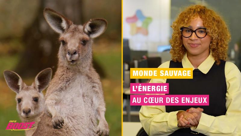 Monde Sauvage d’Aywaille et pouvoir d’achat : deux défis, une même énergie !