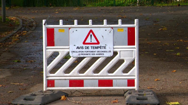 Tempête Austen : parcs, cimetières et foire fermés à Liège, de nouvelles rafales attendues samedi