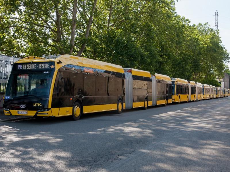 Report pour le déploiement complet des tribus à Liège