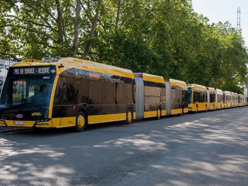 Report pour le déploiement complet des tribus à Liège