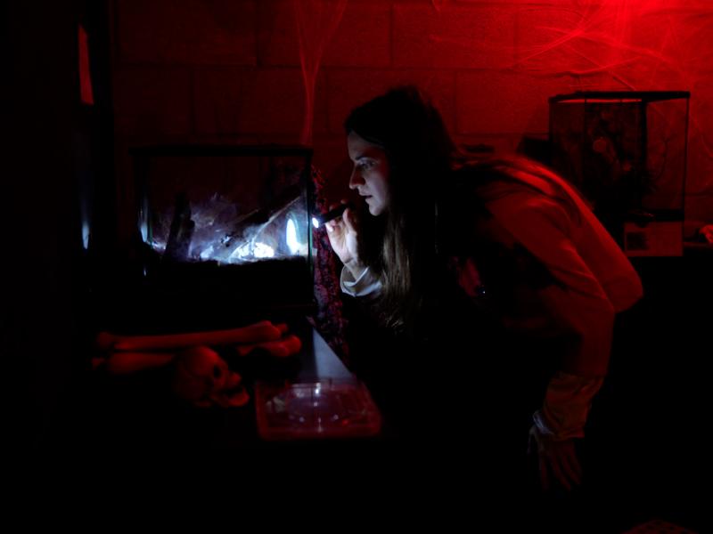 Ambiance Halloween au musée Hexapoda