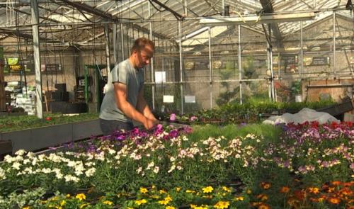 Jardinage et bricolage : réouverture à partir de ce samedi