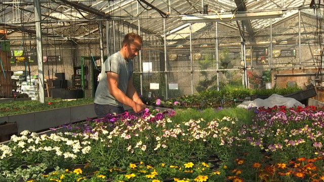 Jardinage et bricolage : réouverture à partir de ce samedi