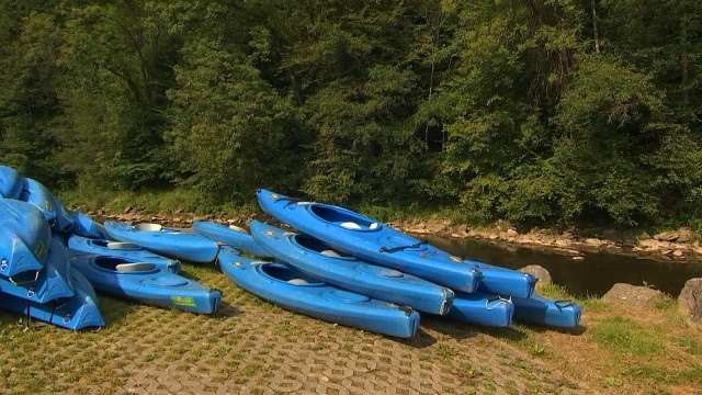 Kayak : le bilan n'est pas très gai