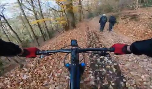 La Forêt, la D.N.F et les V.T.T.