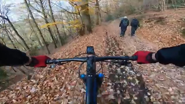 La Forêt, la D.N.F et les V.T.T.