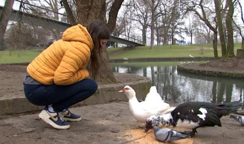 La nouvelle vétérinaire communale a pris ses fonctions à Liège