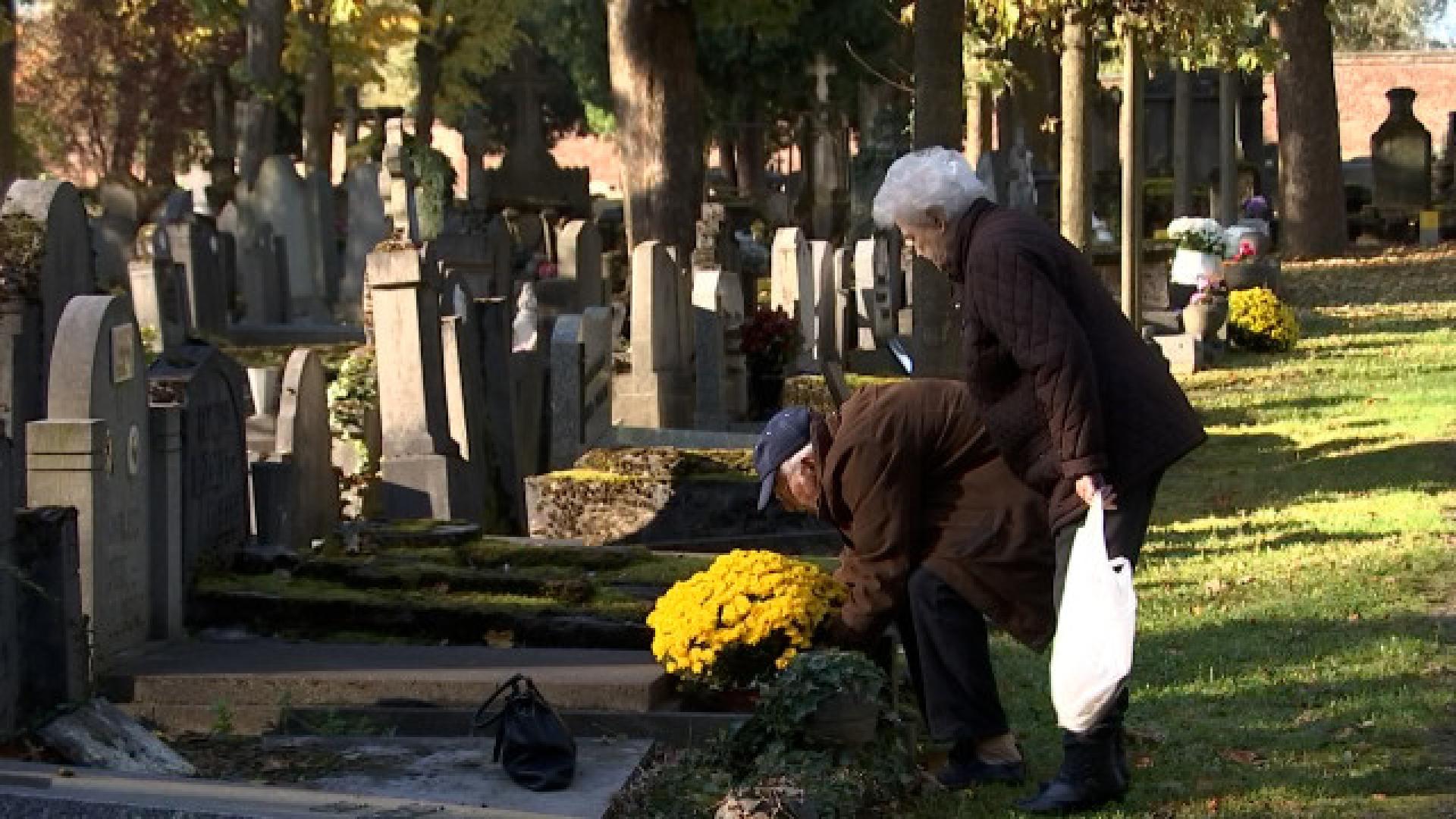 La Toussaint, un hommage aux disparus