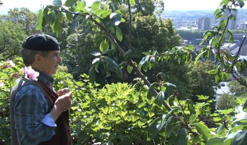 Le plus vieil habitant de la Montage de Bueren
