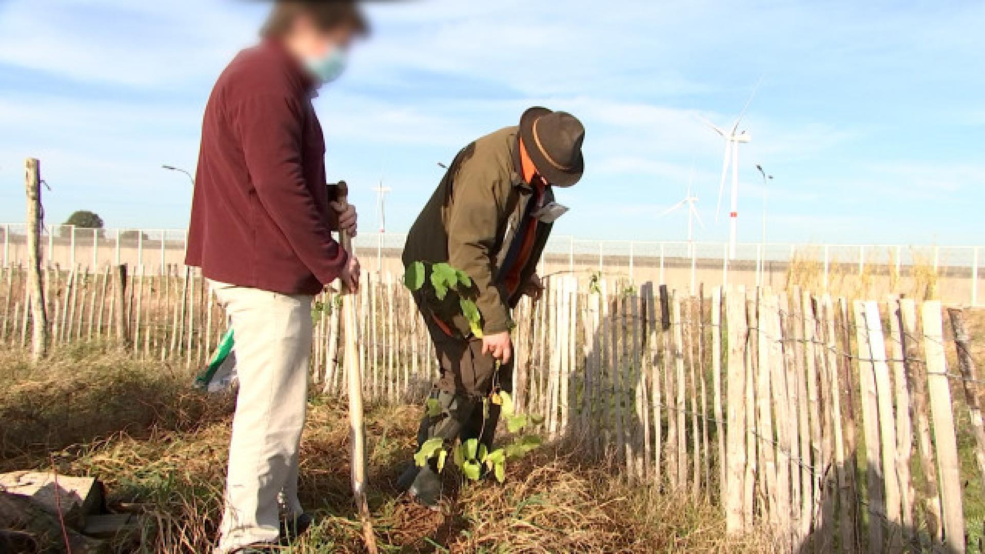 Le projet "Nature pour tous", aussi dans les centre de détention