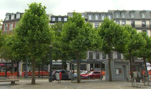 Liège veut planter 20 000 arbres d'ici 2030