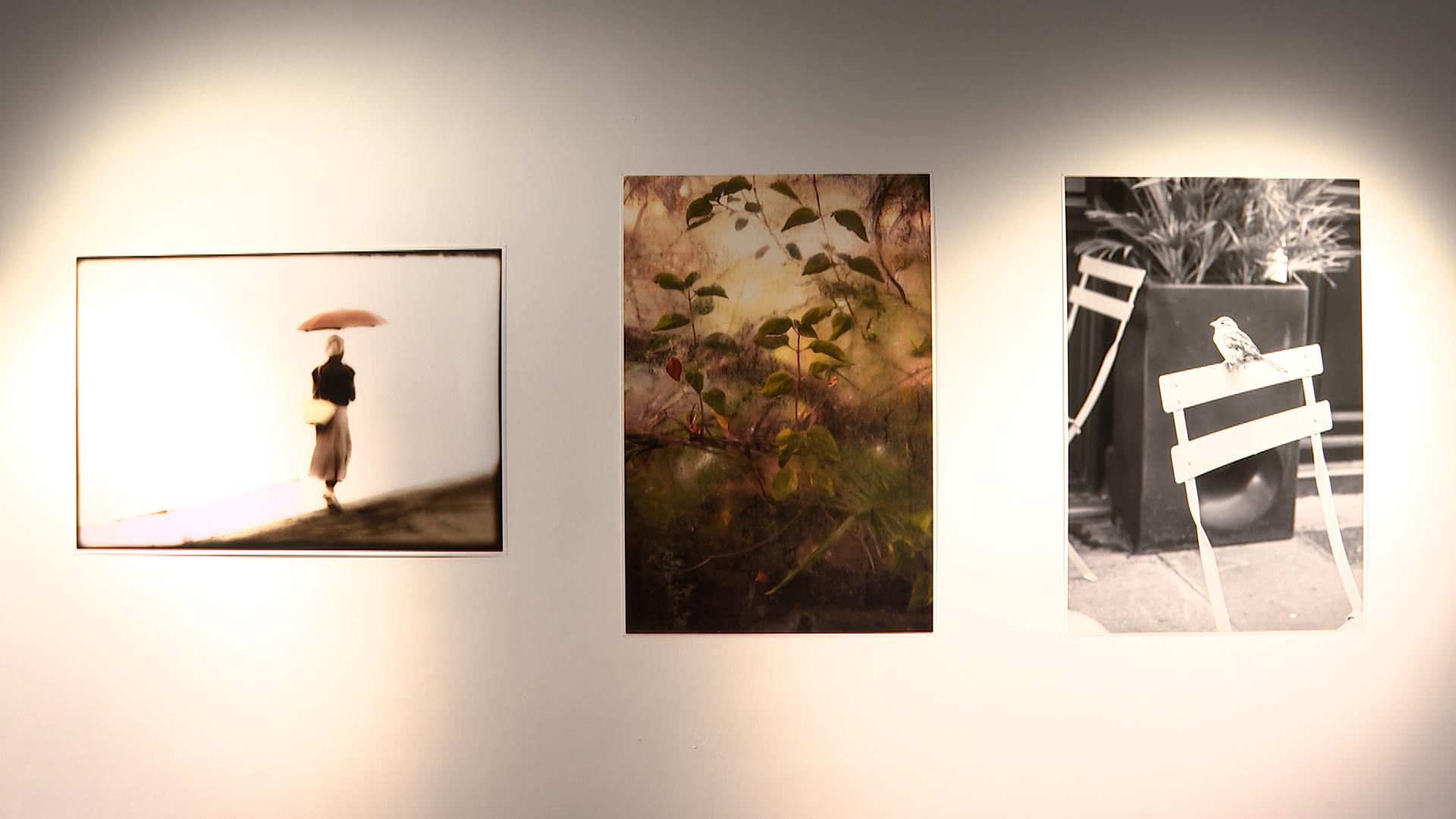 Expo à Chaudfontaine : trois générations de l'oeil Grooteclaes