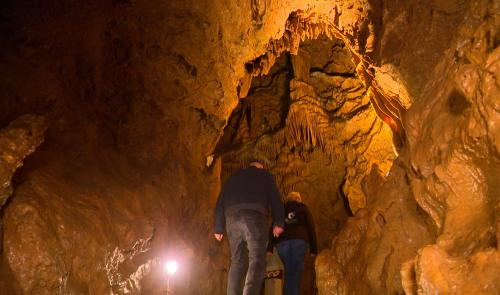 Grotte de Comblain : Silence, on hiberne !