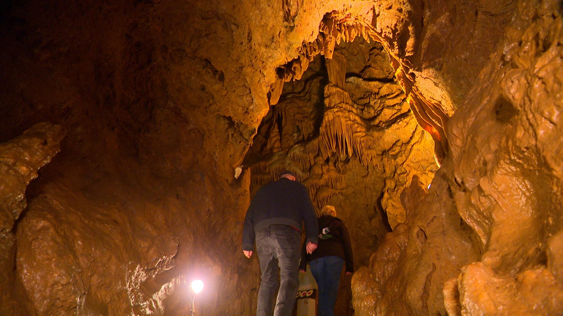 Grotte de Comblain : Silence, on hiberne !