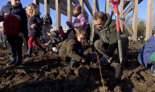 300 arbres pour une mini-forêt à Xhendremael