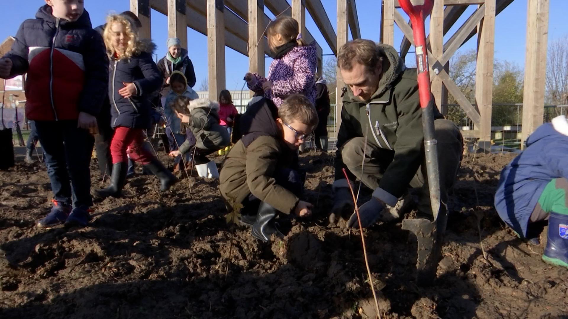 300 arbres pour une mini-forêt à Xhendremael