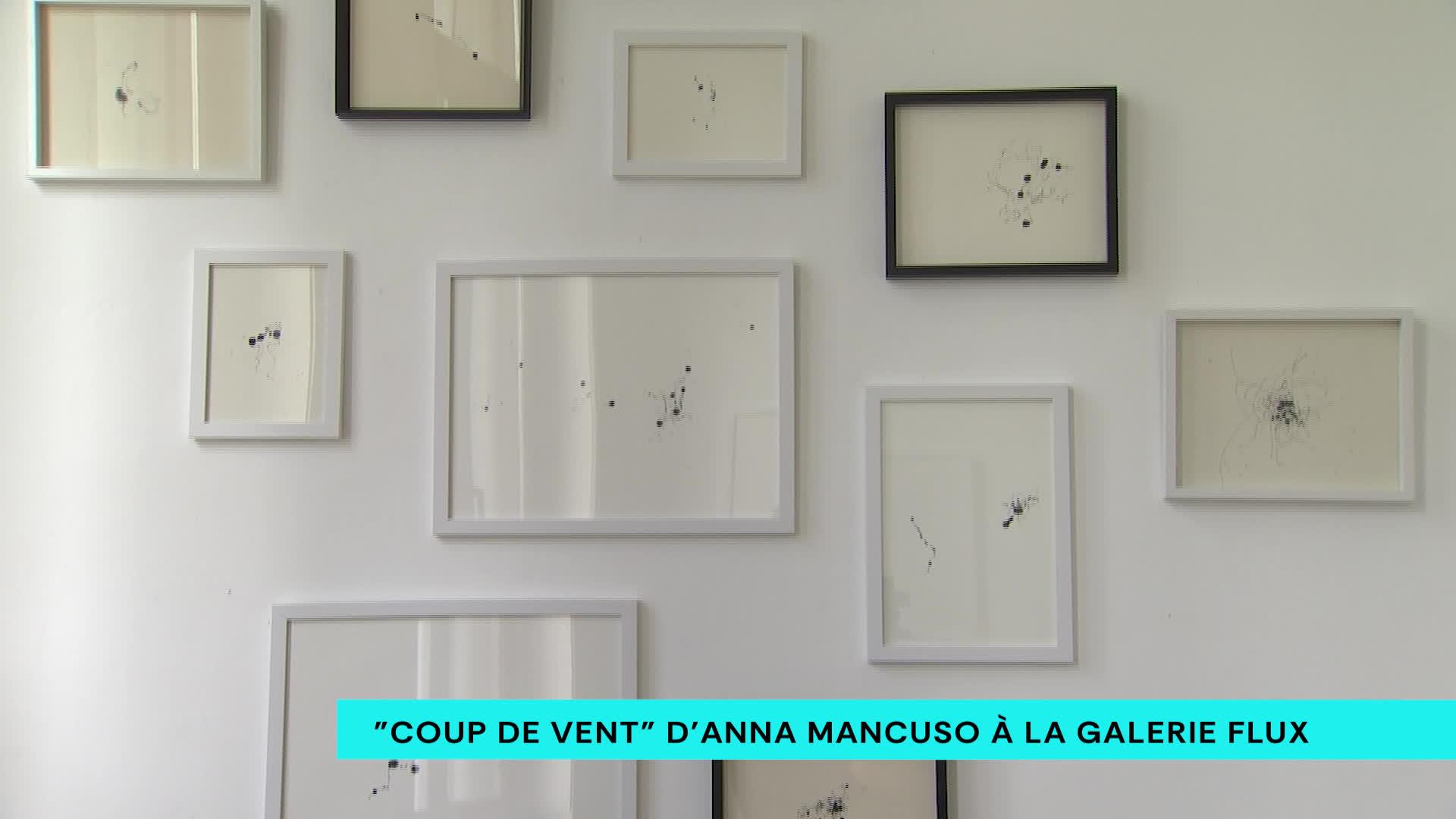 Expo : "coup de vent" d'Anna Mancuso à la galerie Flux