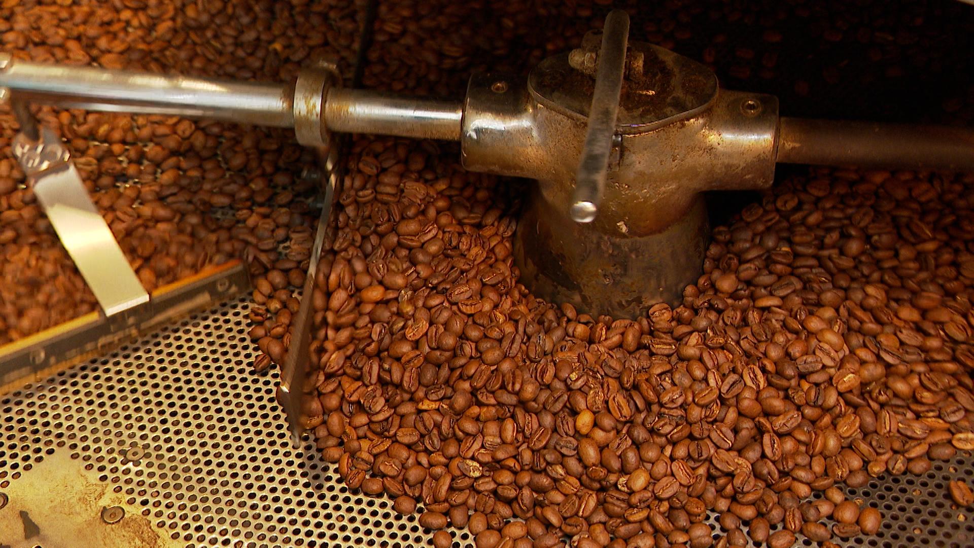 Du café 100% liégeois bientôt en dégustation