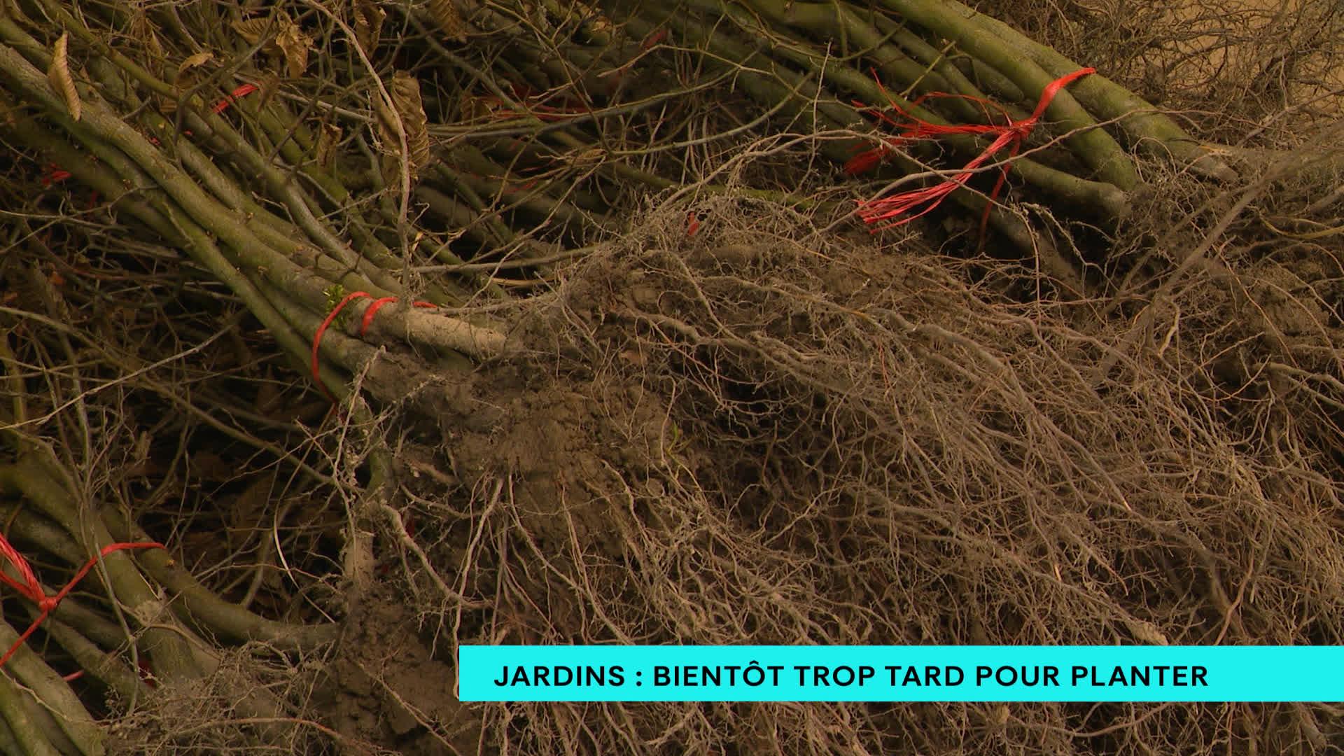 Jardins : bientôt trop tard pour planter !