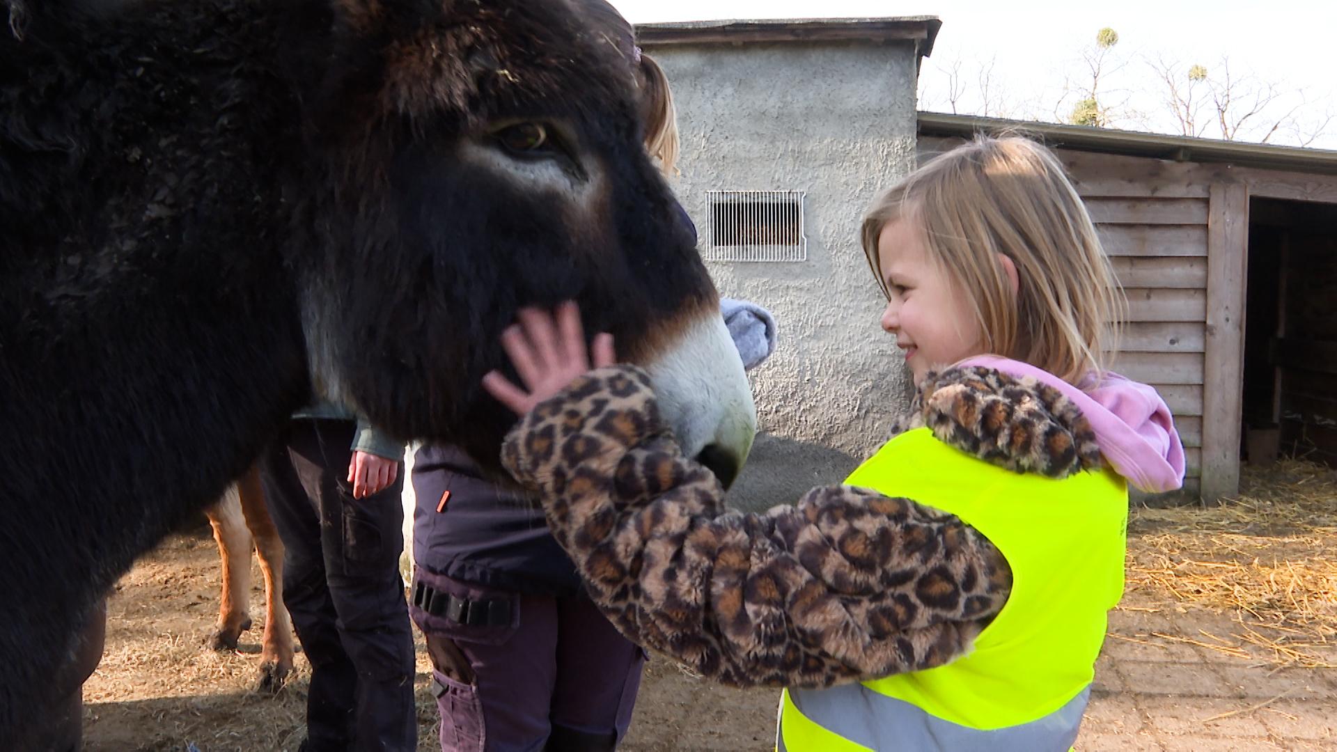 Stage à La Ferme des Enfants
